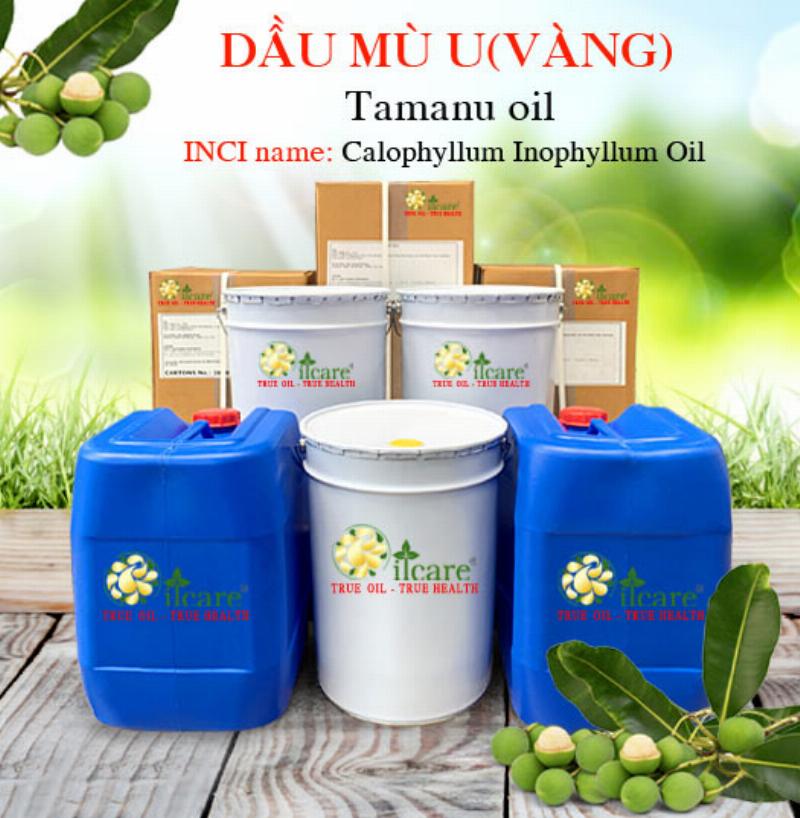 Cách kinh doanh dầu mù u hiệu quả, mô hình kinh doanh dầu mù u, bắt đầu bán dầu mù u
